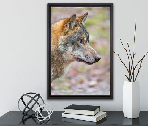 anmutiger Wolf auf Leinwandbild gerahmt mit Kirschblüten