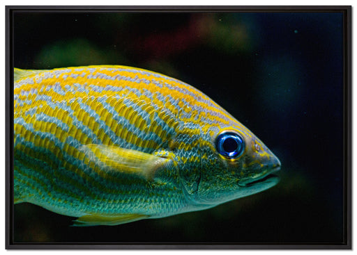 blaue Streifengunze auf Leinwandbild gerahmt Größe 100x70