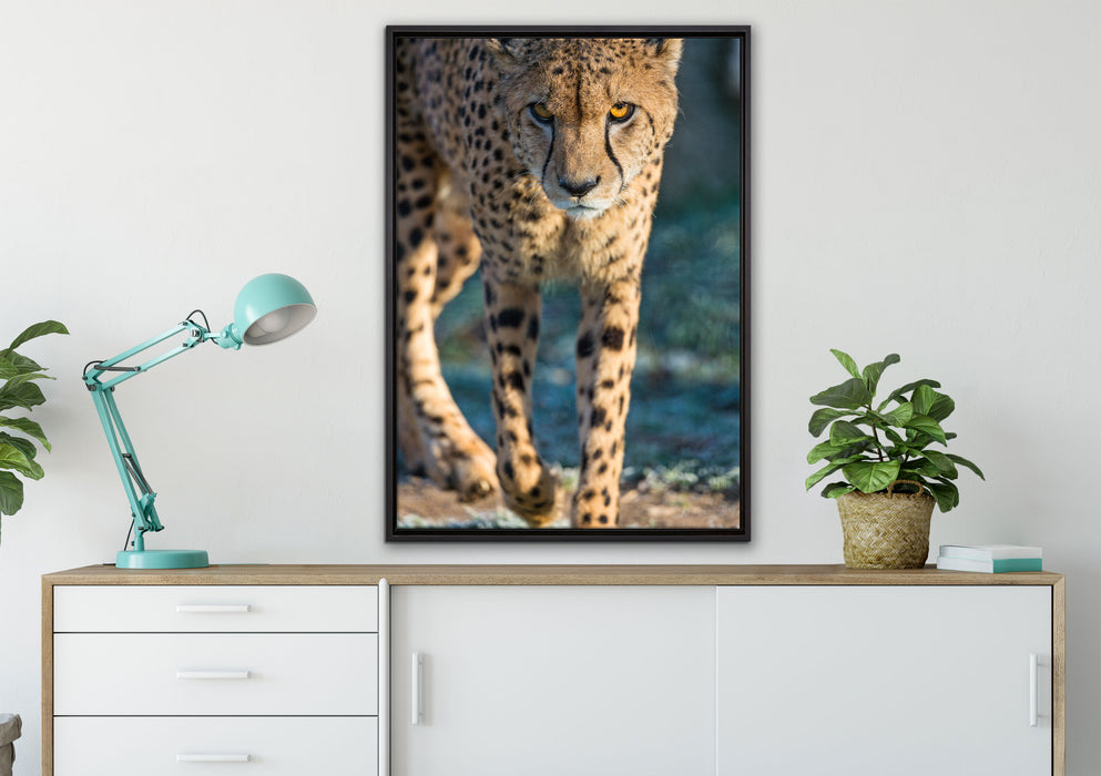 anpirschender Gepard auf Leinwandbild gerahmt verschiedene Größen im Wohnzimmer