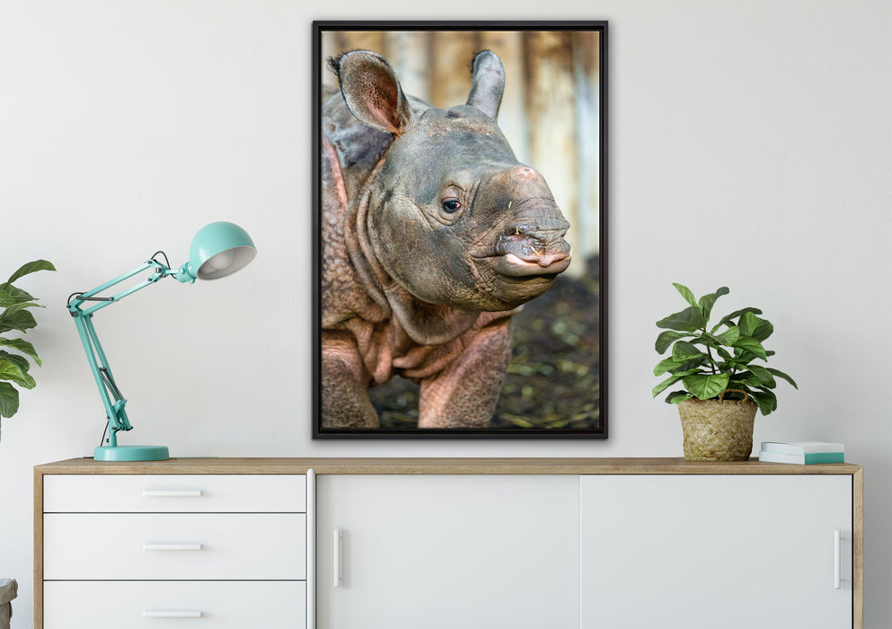 schönes Nashornjunges auf Leinwandbild gerahmt verschiedene Größen im Wohnzimmer