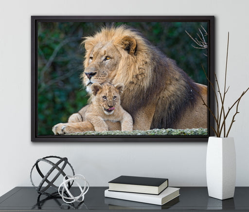 lieber Löwe mit Jungtier auf Leinwandbild gerahmt mit Kirschblüten