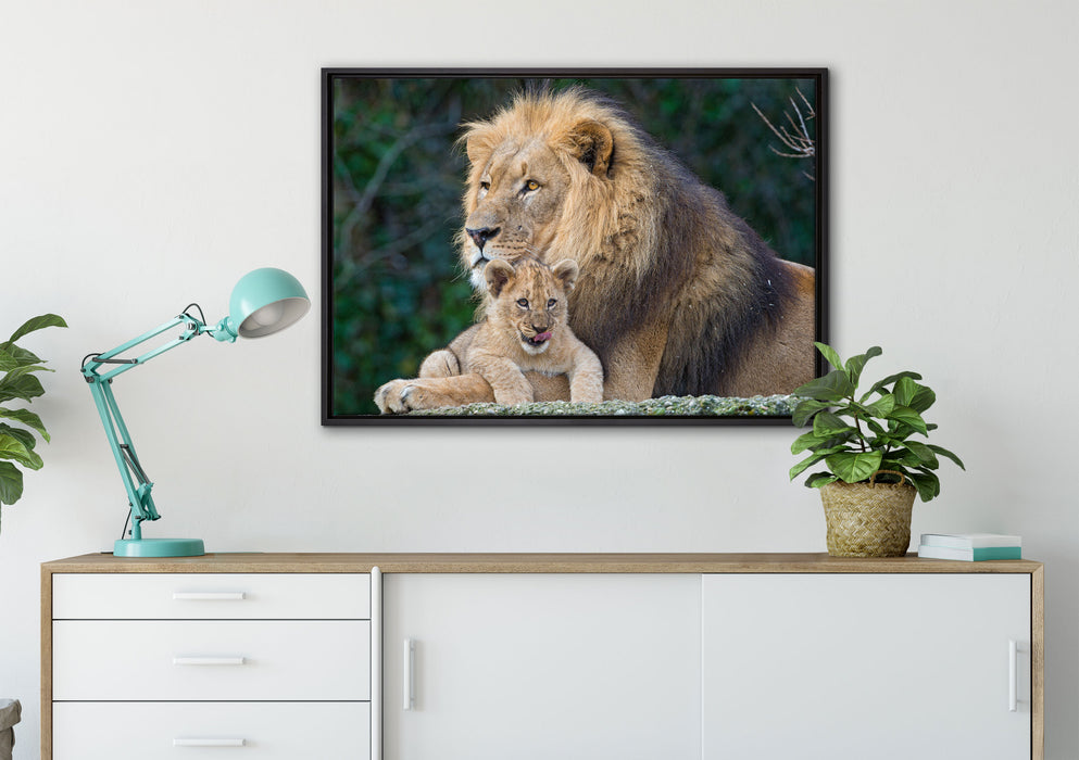 lieber Löwe mit Jungtier auf Leinwandbild gerahmt verschiedene Größen im Wohnzimmer