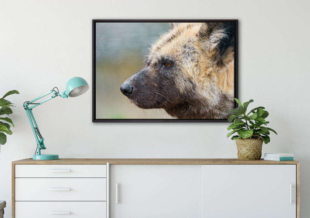 Hyäne im Seitenprofil auf Leinwandbild gerahmt verschiedene Größen im Wohnzimmer