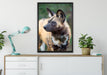 gescheckte Hyäne auf Leinwandbild gerahmt verschiedene Größen im Wohnzimmer