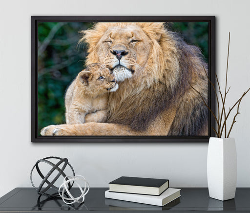 Löwenvater kuschelt mit Jungtier auf Leinwandbild gerahmt mit Kirschblüten