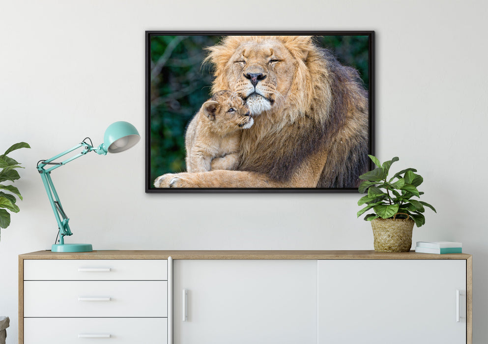 Löwenvater kuschelt mit Jungtier auf Leinwandbild gerahmt verschiedene Größen im Wohnzimmer