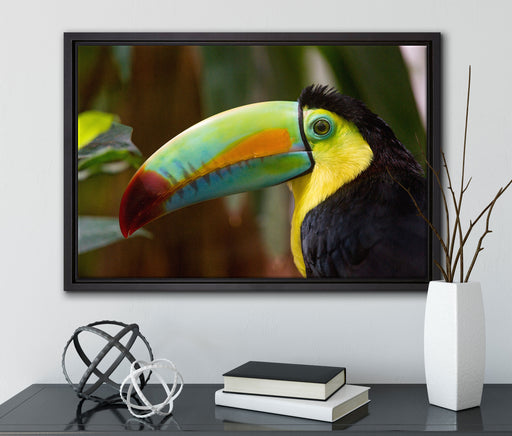 schöner Tukan auf Leinwandbild gerahmt mit Kirschblüten