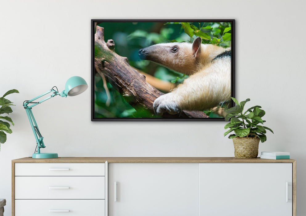Nasenbär auf Ast auf Leinwandbild gerahmt verschiedene Größen im Wohnzimmer