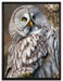 große Eule auf Ast auf Leinwandbild gerahmt Größe 80x60