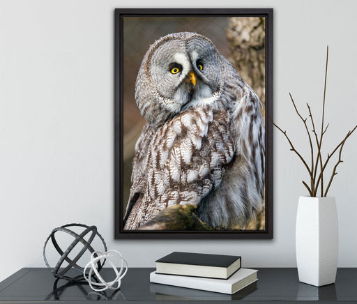 große Eule auf Ast auf Leinwandbild gerahmt mit Kirschblüten