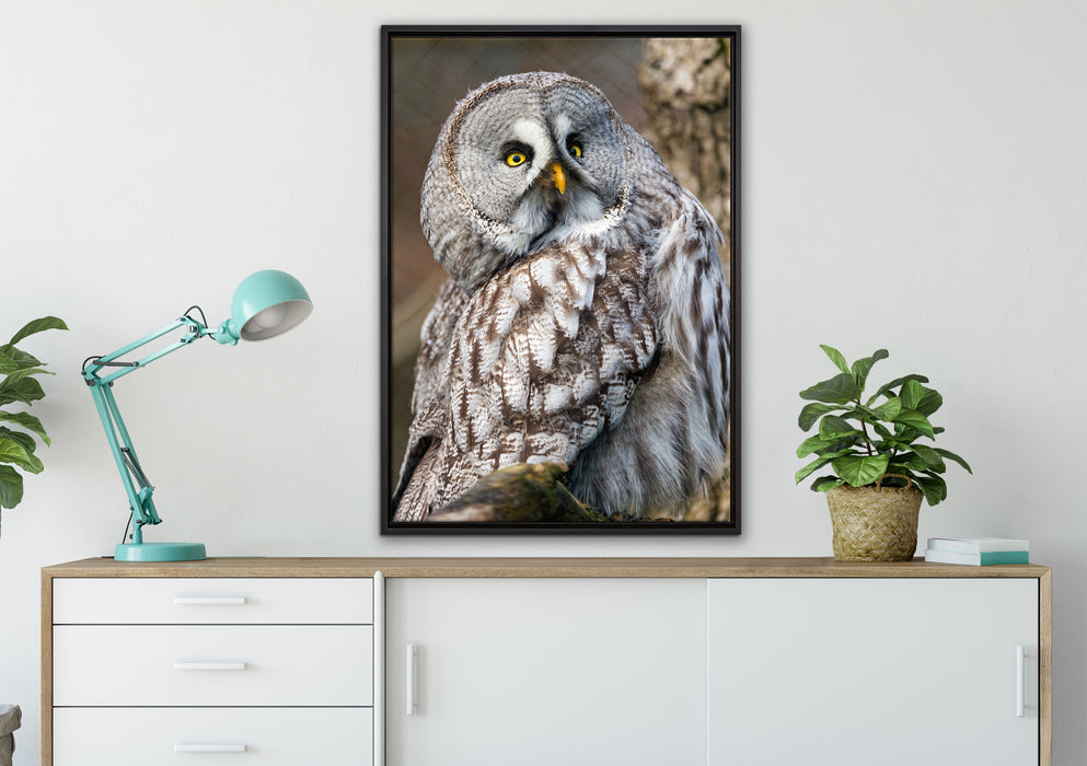 große Eule auf Ast auf Leinwandbild gerahmt verschiedene Größen im Wohnzimmer