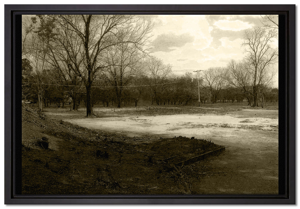 düstrer Wald auf Leinwandbild gerahmt Größe 60x40