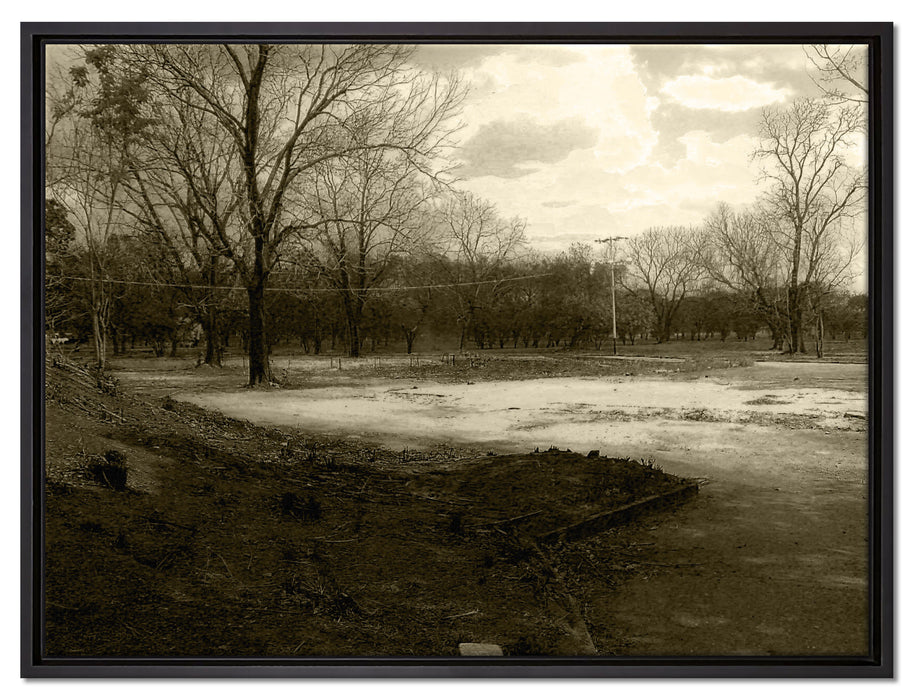 düstrer Wald auf Leinwandbild gerahmt Größe 80x60