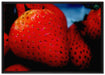 reife Erdbeeren auf Leinwandbild gerahmt Größe 100x70