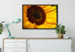 große Sonnenblume auf Leinwandbild gerahmt verschiedene Größen im Wohnzimmer