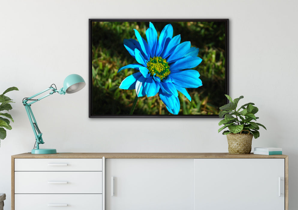 schöne blaue Blüte auf Leinwandbild gerahmt verschiedene Größen im Wohnzimmer
