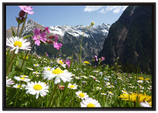 Wunderschöne Blumen Alpenwiese auf Leinwandbild gerahmt Größe 100x70