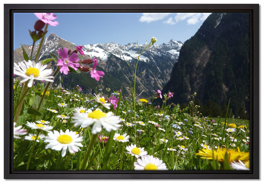 Wunderschöne Blumen Alpenwiese auf Leinwandbild gerahmt Größe 60x40
