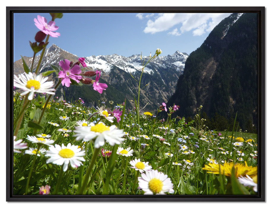 Wunderschöne Blumen Alpenwiese auf Leinwandbild gerahmt Größe 80x60