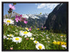 Wunderschöne Blumen Alpenwiese auf Leinwandbild gerahmt Größe 80x60