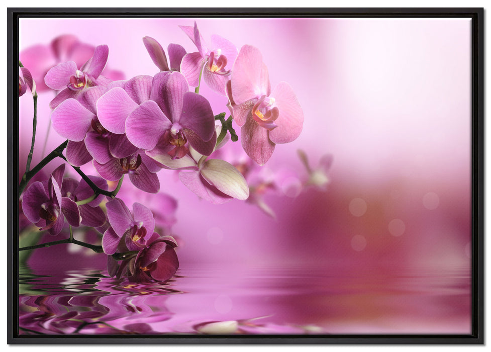 Wunderschöne Orchideenblüten auf Leinwandbild gerahmt Größe 100x70