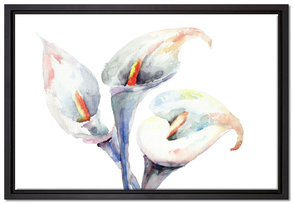 Aquarell Blüten Callas Kunst auf Leinwandbild gerahmt Größe 60x40