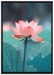 Zarte rosafarbener Lotus auf Leinwandbild gerahmt Größe 100x70