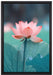 Zarte rosafarbener Lotus auf Leinwandbild gerahmt Größe 60x40