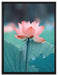 Zarte rosafarbener Lotus auf Leinwandbild gerahmt Größe 80x60