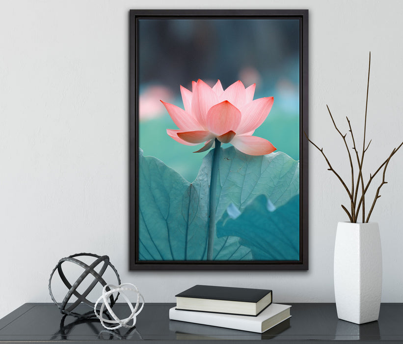 Zarte rosafarbener Lotus auf Leinwandbild gerahmt mit Kirschblüten