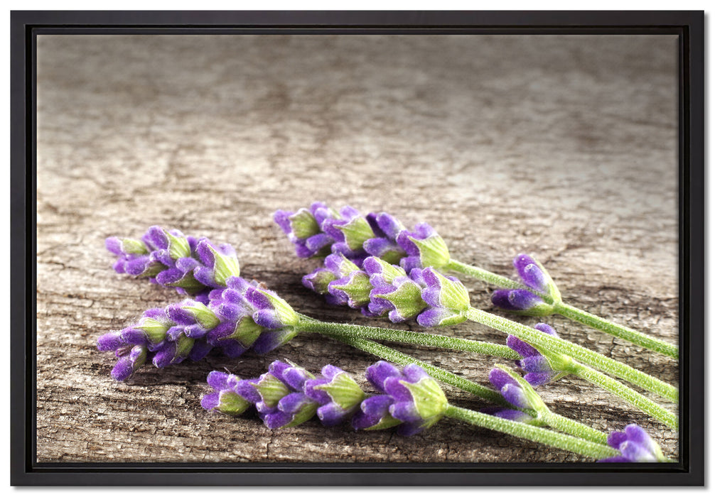 Liegender frischer Lavendel auf Leinwandbild gerahmt Größe 60x40