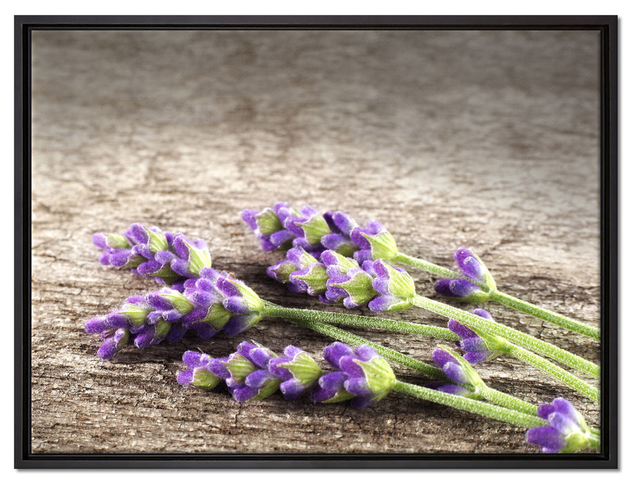 Liegender frischer Lavendel auf Leinwandbild gerahmt Größe 80x60