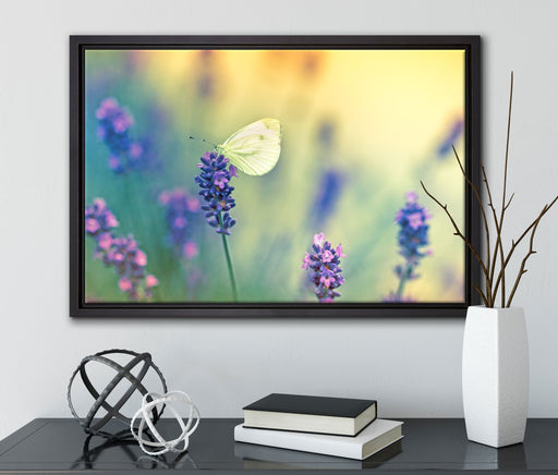 Schmetterling auf Lavendel auf Leinwandbild gerahmt mit Kirschblüten