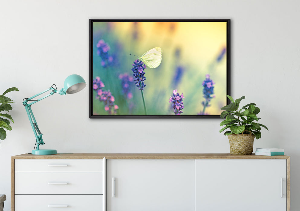 Schmetterling auf Lavendel auf Leinwandbild gerahmt verschiedene Größen im Wohnzimmer
