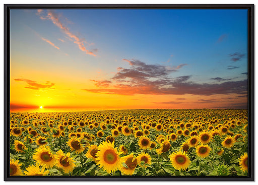 Sonnenuntergang Sonnenblumen auf Leinwandbild gerahmt Größe 100x70