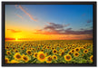 Sonnenuntergang Sonnenblumen auf Leinwandbild gerahmt Größe 60x40