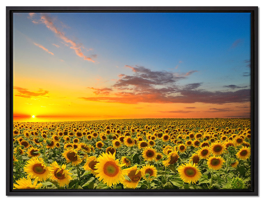 Sonnenuntergang Sonnenblumen auf Leinwandbild gerahmt Größe 80x60