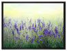 Schöner Lavendel im Regen auf Leinwandbild gerahmt Größe 80x60