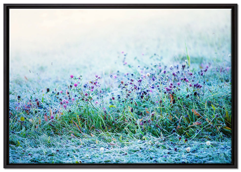 Lila Distel Feld im Retro Look auf Leinwandbild gerahmt Größe 100x70