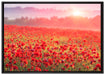 Mohnwiese im Sonnenschein auf Leinwandbild gerahmt Größe 100x70