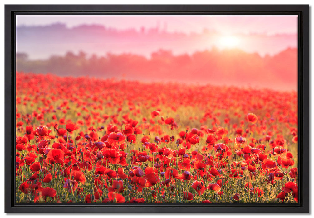Mohnwiese im Sonnenschein auf Leinwandbild gerahmt Größe 60x40