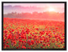 Mohnwiese im Sonnenschein auf Leinwandbild gerahmt Größe 80x60