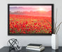 Mohnwiese im Sonnenschein auf Leinwandbild gerahmt mit Kirschblüten