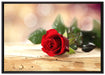 Rose auf Holztisch auf Leinwandbild gerahmt Größe 100x70