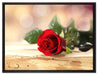 Rose auf Holztisch auf Leinwandbild gerahmt Größe 80x60