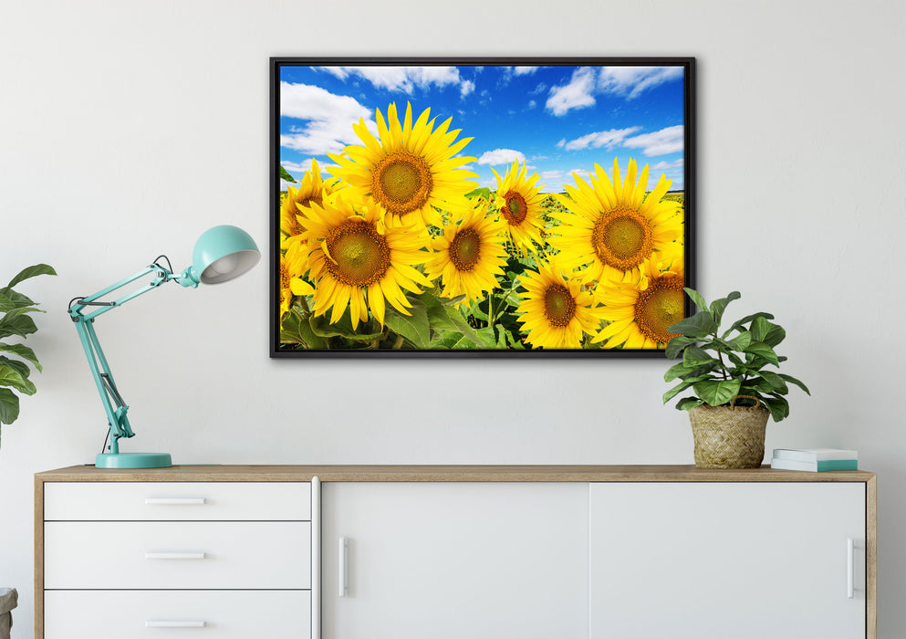 Sonnenblumenwiese unter Himmel auf Leinwandbild gerahmt verschiedene Größen im Wohnzimmer