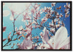 Zarte Rosa Magnolie Blüten auf Leinwandbild gerahmt Größe 100x70