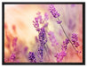 Eleganter Lavendel auf Leinwandbild gerahmt Größe 80x60