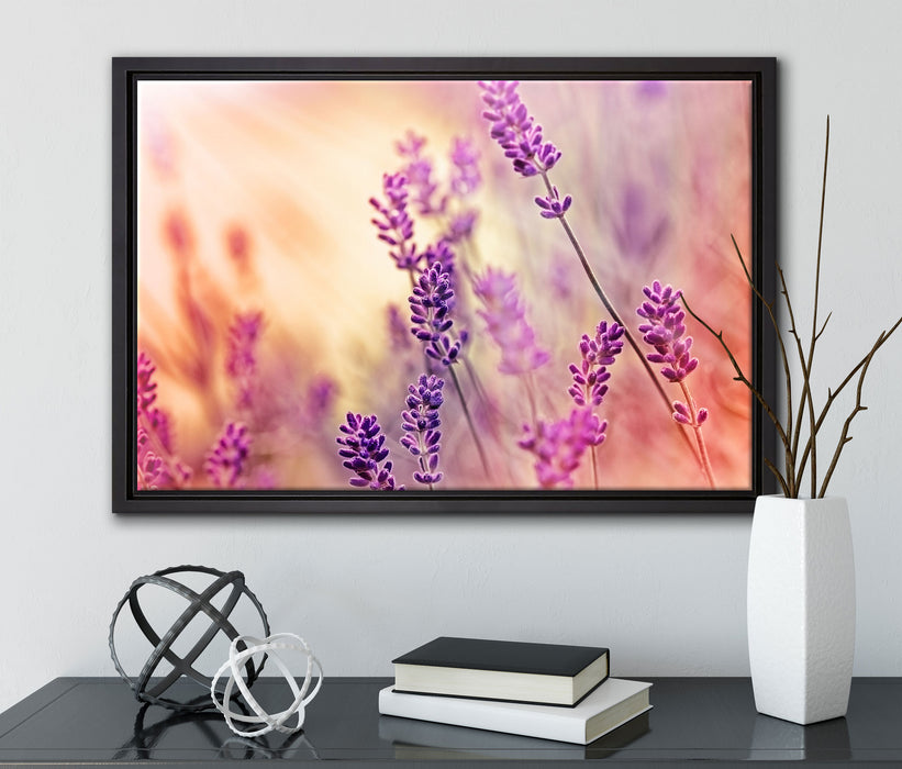 Eleganter Lavendel auf Leinwandbild gerahmt mit Kirschblüten