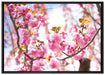 Schöne Kirschblüten auf Leinwandbild gerahmt Größe 100x70